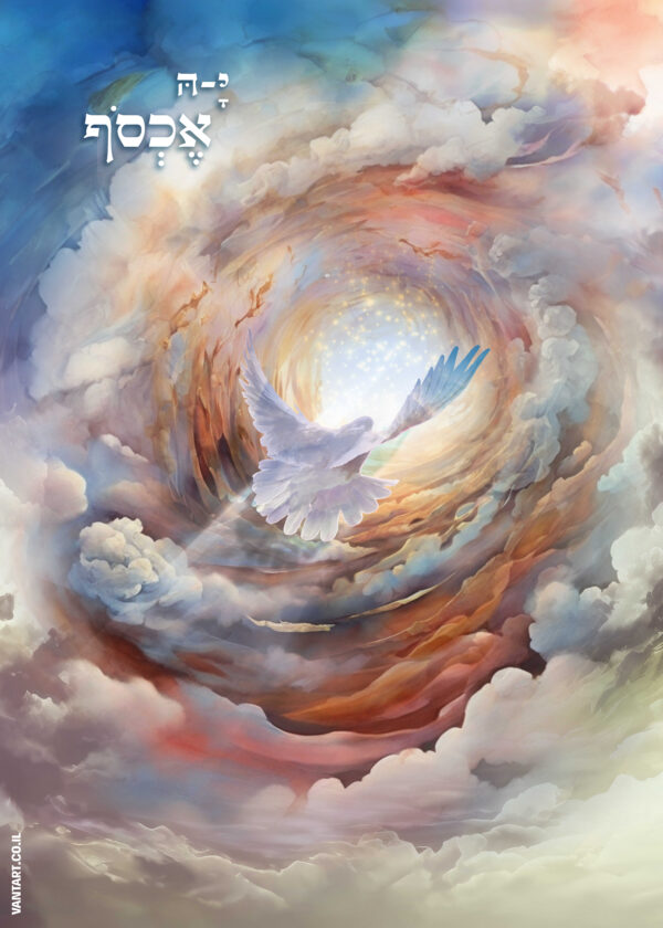 ⁦קה אכסוף⁩ – תמונה ⁦13⁩